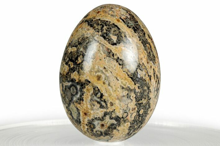 Polished Leopard Stone Egg - Mexico #356341